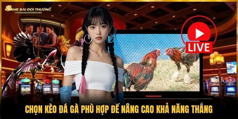 Chọn kèo đá gà chuẩn giúp nâng cao tỷ lệ dự đoán chính xác
